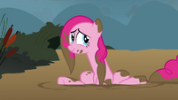 Pinkie Pie got thrown into the mud S2E19