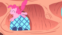 Pinkie Pie leaps off windowsill S1E16