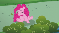 Pinkie Pie sneezing S5E19