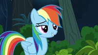 Rainbow "you're pretty awesome yourself" S6E13
