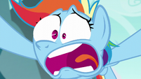 Rainbow Dash "never heard of the Wonderbolts?!" S6E6