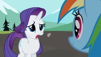 Not everypony worries about dust like you do, Lady Rarity.