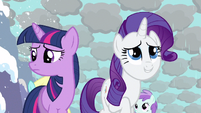 Happy Rarity is happy. The rest of Ponyville is not.