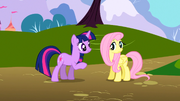 S01E01 Twilight próbuje zapoznać się z Fluttershy