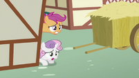 Scootaloo and Sweetie Belle looking 2 S2E06