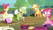 The Apples and Pinkie sees the damage S4E09