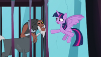 Twilight "have you even thought about" S8E26