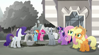 Twilight asks about Rainbow Festival activities MLPRR