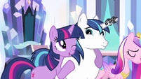 Shining Armor having an enormous amount of faith in Twilight.