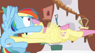 637px-Fluttershy pummelling into Rainbow Dash S2E21