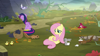 Animals gathering around Fluttershy S5E23