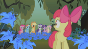 Applejack and friends looking at Apple Bloom S1E09