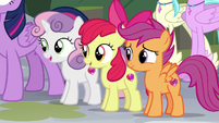 Cutie Mark Crusaders watch the festival S8E6