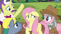 Expert ponies asking for Fluttershy's opinion S7E5