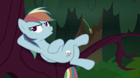 Fake Rainbow Dash scoffing at other clones S8E13
