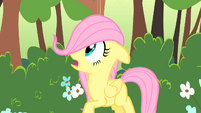 Filly Fluttershy gasp S1E23