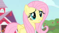 Fluttershy 'let them have part of the orchard' S4E07