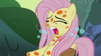 Fluttershy violently coughing up bubbles S7E20
