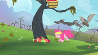 Pinkie leaving the apples onto the ground for the bats to consume S4E07