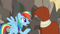 Rainbow Dash "if Ahuizotl had gotten away" S7E18