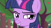 Twilight proposes a stakeout S4E07