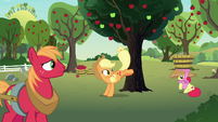 Applejack bucking an apple tree S7E9
