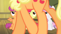 CMC sees Applejack walking S4E17