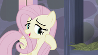 Fluttershy -They've been so welcoming and friendly- S5E02