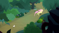 Fluttershy and Angel race through the forest S8E18