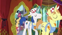 Interior decorator ponies entering S6E12