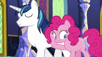 Pinkie hiding her face from Shining Armor S5E19