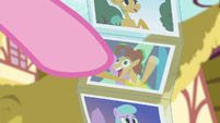 Pinkie points at photo of Cheese Sandwich S6E11