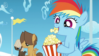 Rainbow, Dumb-Bell, and Hoops watch Twilight and Starlight S5E26