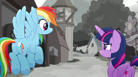 Rainbow and Twilight confused by Barrel twins MLPRR