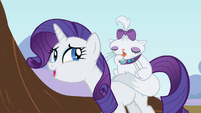 Rarity and Opalescence S2E07