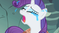 Awww...you made poor Rarity cry... (and you dogs are so DEAD!!)