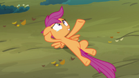 Scootaloo 'Hey Rainbow Dash' S3E6