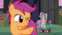 Scootaloo giving Sweetie Belle her signal S8E12