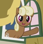 Sunny Smiles ID S2E18