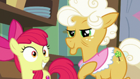 Apple Bloom starts getting excited S9E10