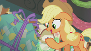 Applejack reads Pinkie's card S5E20