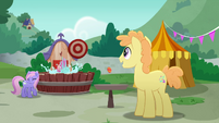 Dunk tank pony falls into the water MLPRR