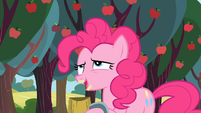 Pinkie seems like she's enjoying her cider...