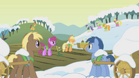 Ponies listen to Applejack S1E11