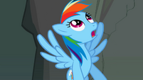 Rainbow Dash looking up S2E07