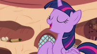 Twilight Sparkle: Always happy to preach and lecture.
