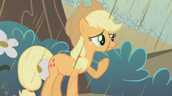 640px-Applejack in the rain S2E01