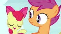 Apple Bloom "I think it's my broccoli thing" S7E8.png (1.01 MB)