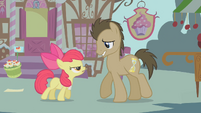 Apple Bloom backs Dr. Hooves into a corner S1E12