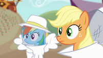 Applejack and Rainbow Dash in beekeeping suits S4E3